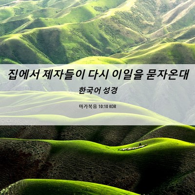 Picture 06 - 마가복음 10:10 KOR - 집에서 제자들이 다시 이일을 - Bible Verse Picture