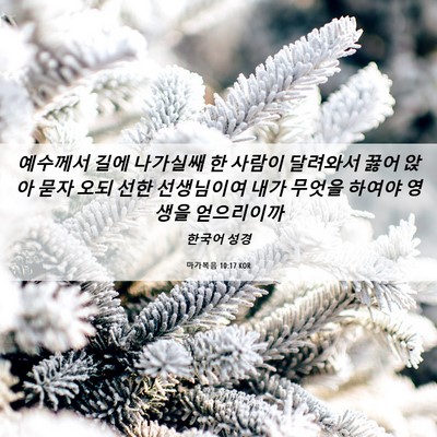 Picture 06 - 마가복음 10:17 KOR - 예수께서 길에 나가실쌔 한 사람이 - Bible Verse Picture