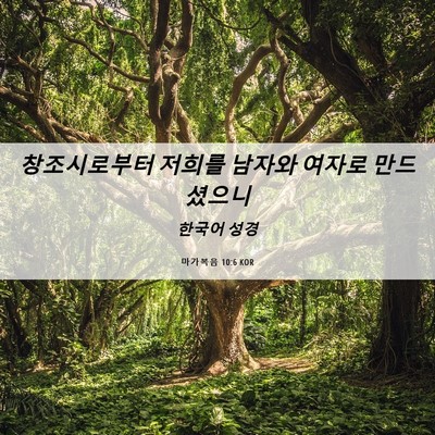 Picture 06 - 마가복음 10:6 KOR - 창조시로부터 저희를 남자와 여자로 - Bible Verse Picture