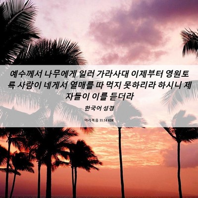 Picture 06 - 마가복음 11:14 KOR - 예수께서 나무에게 일러 가라사대 - Bible Verse Picture