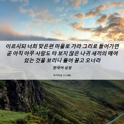Picture 06 - 마가복음 11:2 KOR - 이르시되 너희 맞은편 마을로 가라 - Bible Verse Picture