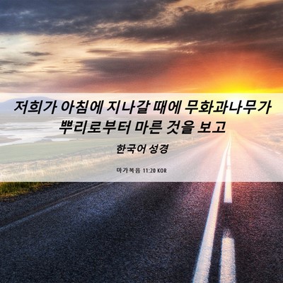 Picture 06 - 마가복음 11:20 KOR - 저희가 아침에 지나갈 때에 - Bible Verse Picture