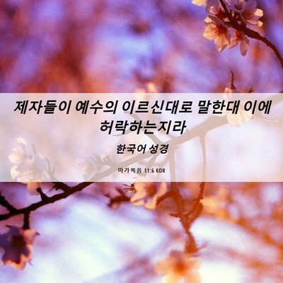 Picture 06 - 마가복음 11:6 KOR - 제자들이 예수의 이르신대로 말한대 - Bible Verse Picture