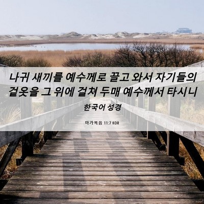 Picture 06 - 마가복음 11:7 KOR - 나귀 새끼를 예수께로 끌고 와서 - Bible Verse Picture