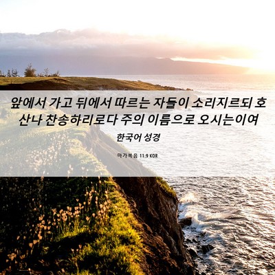 Picture 06 - 마가복음 11:9 KOR - 앞에서 가고 뒤에서 따르는 자들이 - Bible Verse Picture