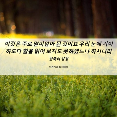 Picture 06 - 마가복음 12:11 KOR - 이것은 주로 말미암아 된 것이요 - Bible Verse Picture