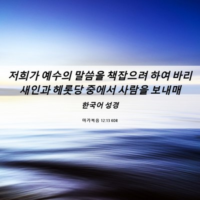 Picture 06 - 마가복음 12:13 KOR - 저희가 예수의 말씀을 책잡으려 하여 - Bible Verse Picture