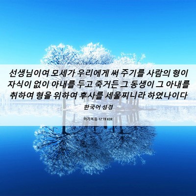 Picture 06 - 마가복음 12:19 KOR - 선생님이여 모세가 우리에게 써 - Bible Verse Picture