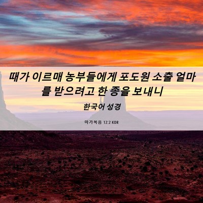 Picture 06 - 마가복음 12:2 KOR - 때가 이르매 농부들에게 포도원 소출 - Bible Verse Picture