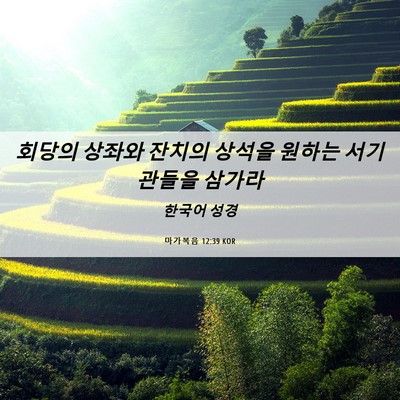 Picture 06 - 마가복음 12:39 KOR - 회당의 상좌와 잔치의 상석을 원하는 - Bible Verse Picture