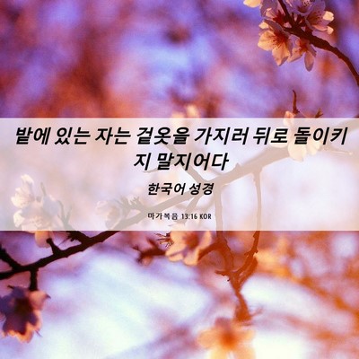 Picture 06 - 마가복음 13:16 KOR - 밭에 있는 자는 겉옷을 가지러 뒤로 - Bible Verse Picture