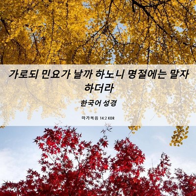 Picture 06 - 마가복음 14:2 KOR - 가로되 민요가 날까 하노니 명절에는 - Bible Verse Picture
