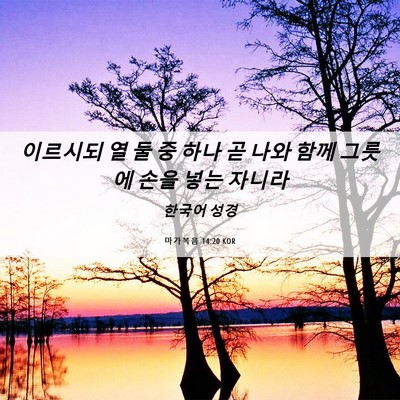 Picture 06 - 마가복음 14:20 KOR - 이르시되 열 둘 중 하나 곧 나와 함께 - Bible Verse Picture