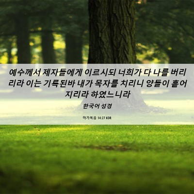 Picture 06 - 마가복음 14:27 KOR - 예수께서 제자들에게 이르시되 - Bible Verse Picture