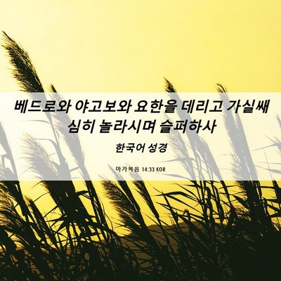 Picture 06 - 마가복음 14:33 KOR - 베드로와 야고보와 요한을 데리고 - Bible Verse Picture