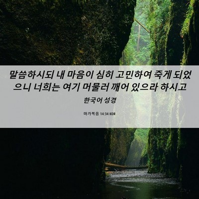Picture 06 - 마가복음 14:34 KOR - 말씀하시되 내 마음이 심히 고민하여 - Bible Verse Picture
