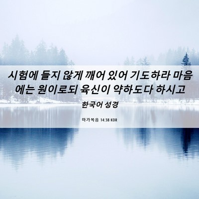Picture 06 - 마가복음 14:38 KOR - 시험에 들지 않게 깨어 있어 - Bible Verse Picture