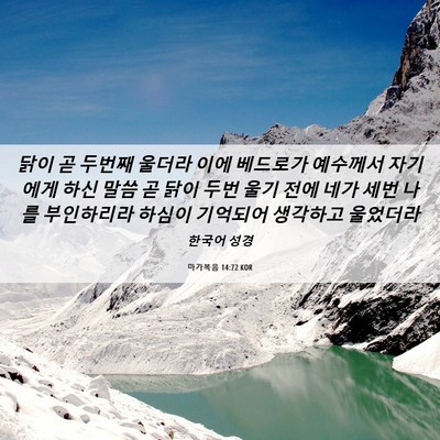 Picture 06 - 마가복음 14:72 KOR - 닭이 곧 두번째 울더라 이에 - Bible Verse Picture
