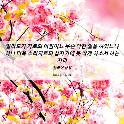 Picture 06 - 마가복음 15:14 KOR - 빌라도가 가로되 어찜이뇨 무슨 악한 - Bible Verse Picture