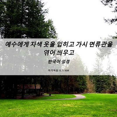 Picture 06 - 마가복음 15:17 KOR - 예수에게 자색 옷을 입히고 가시 - Bible Verse Picture