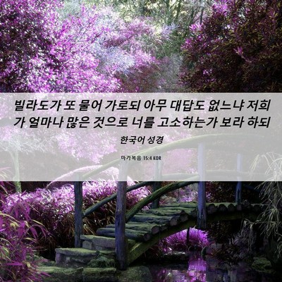 Picture 06 - 마가복음 15:4 KOR - 빌라도가 또 물어 가로되 아무 - Bible Verse Picture