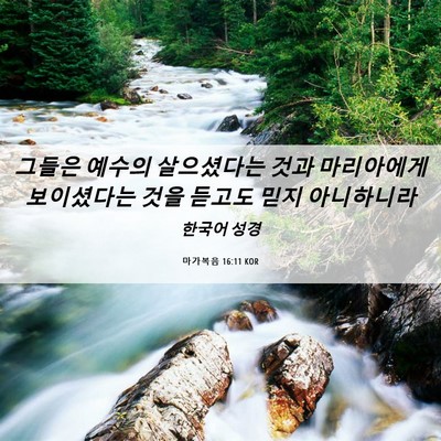 Picture 06 - 마가복음 16:11 KOR - 그들은 예수의 살으셨다는 것과 - Bible Verse Picture