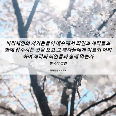 Picture 06 - 마가복음 2:16 KOR - 바리새인의 서기관들이 예수께서 - Bible Verse Picture