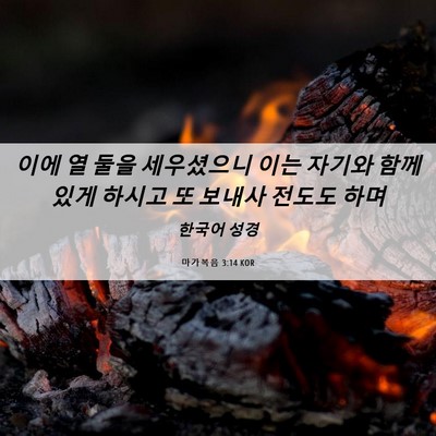 Picture 06 - 마가복음 3:14 KOR - 이에 열 둘을 세우셨으니 이는 - Bible Verse Picture