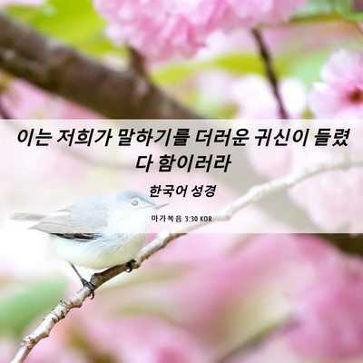Picture 06 - 마가복음 3:30 KOR - 이는 저희가 말하기를 더러운 귀신이 - Bible Verse Picture