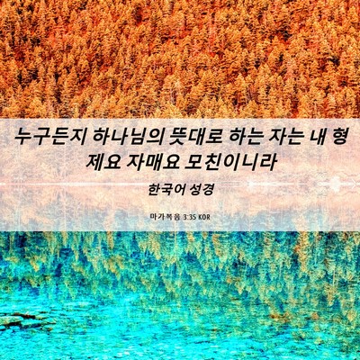 Picture 06 - 마가복음 3:35 KOR - 누구든지 하나님의 뜻대로 하는 자는 - Bible Verse Picture