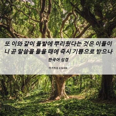 Picture 06 - 마가복음 4:16 KOR - 또 이와 같이 돌밭에 뿌리웠다는 - Bible Verse Picture