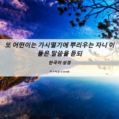 Picture 06 - 마가복음 4:18 KOR - 또 어떤이는 가시떨기에 뿌리우는 - Bible Verse Picture