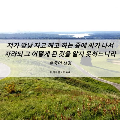 Picture 06 - 마가복음 4:27 KOR - 저가 밤낮 자고 깨고 하는 중에 씨가 - Bible Verse Picture