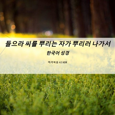 Picture 06 - 마가복음 4:3 KOR - 들으라 씨를 뿌리는 자가 뿌리러 - Bible Verse Picture
