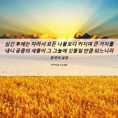 Picture 06 - 마가복음 4:32 KOR - 심긴 후에는 자라서 모든 나물보다 - Bible Verse Picture