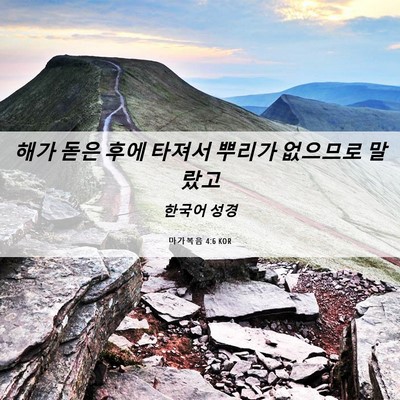 Picture 06 - 마가복음 4:6 KOR - 해가 돋은 후에 타져서 뿌리가 - Bible Verse Picture