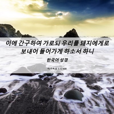 Picture 06 - 마가복음 5:12 KOR - 이에 간구하여 가로되 우리를 - Bible Verse Picture