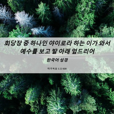 Picture 06 - 마가복음 5:22 KOR - 회당장 중 하나인 야이로라 하는 - Bible Verse Picture