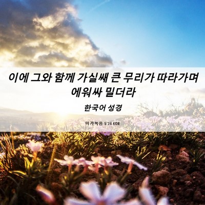 Picture 06 - 마가복음 5:24 KOR - 이에 그와 함께 가실쌔 큰 무리가 - Bible Verse Picture