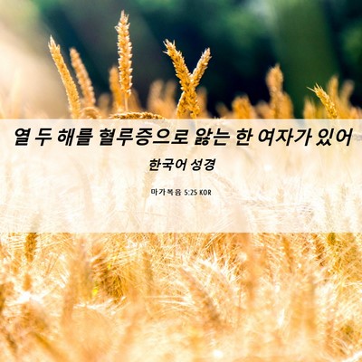 Picture 06 - 마가복음 5:25 KOR - 열 두 해를 혈루증으로 앓는 한 - Bible Verse Picture