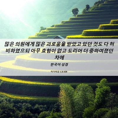 Picture 06 - 마가복음 5:26 KOR - 많은 의원에게 많은 괴로움을 받았고 - Bible Verse Picture