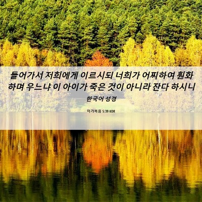 Picture 06 - 마가복음 5:39 KOR - 들어가서 저희에게 이르시되 너희가 - Bible Verse Picture