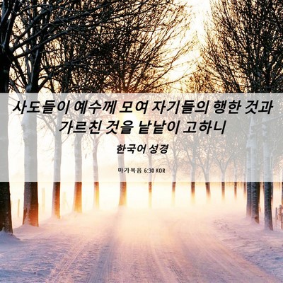 Picture 06 - 마가복음 6:30 KOR - 사도들이 예수께 모여 자기들의 행한 - Bible Verse Picture
