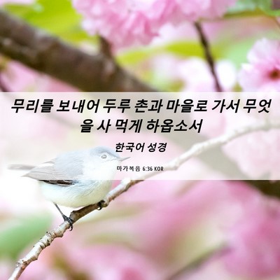 Picture 06 - 마가복음 6:36 KOR - 무리를 보내어 두루 촌과 마을로 - Bible Verse Picture