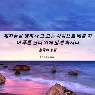 Picture 06 - 마가복음 6:39 KOR - 제자들을 명하사 그 모든 사람으로 - Bible Verse Picture