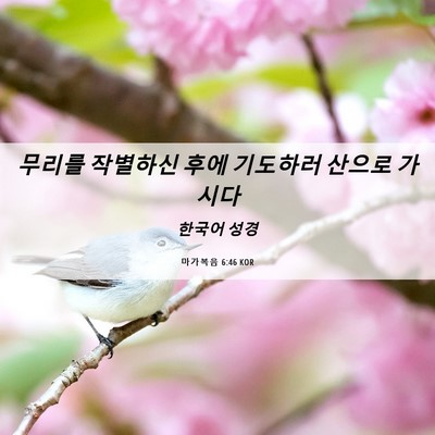Picture 06 - 마가복음 6:46 KOR - 무리를 작별하신 후에 기도하러 - Bible Verse Picture