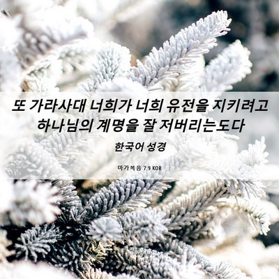 Picture 06 - 마가복음 7:9 KOR - 또 가라사대 너희가 너희 유전을 - Bible Verse Picture