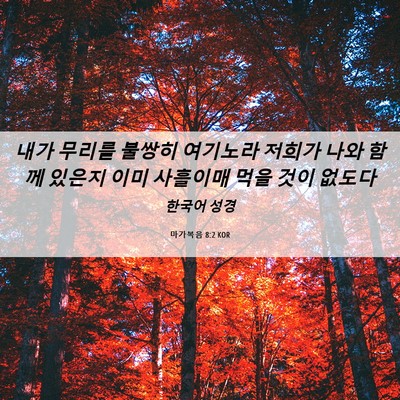 Picture 06 - 마가복음 8:2 KOR - 내가 무리를 불쌍히 여기노라 저희가 - Bible Verse Picture
