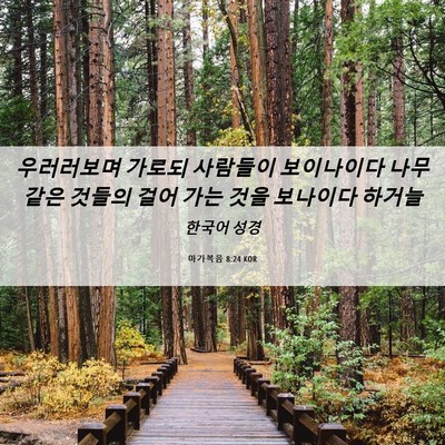 Picture 06 - 마가복음 8:24 KOR - 우러러보며 가로되 사람들이 - Bible Verse Picture