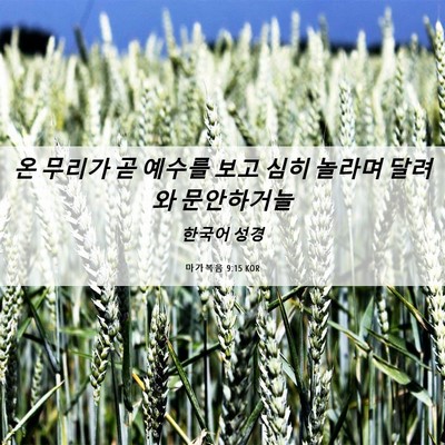 Picture 06 - 마가복음 9:15 KOR - 온 무리가 곧 예수를 보고 심히 - Bible Verse Picture